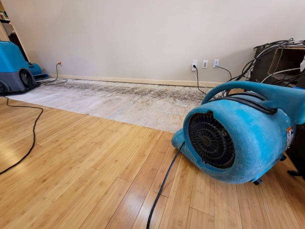 Professional Water Damage Repair technician working in Lebanon, VA